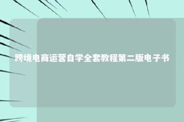 跨境电商运营自学全套教程第二版电子书 跨境电商运营培训课程