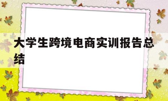 大学生跨境电商实训报告总结