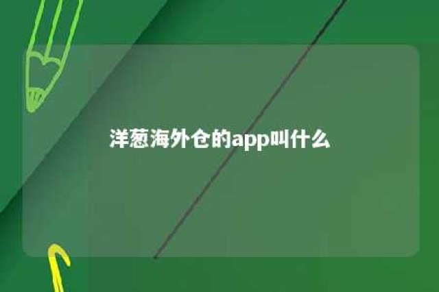 洋葱海外仓的app叫什么 洋葱海外仓实体店图片