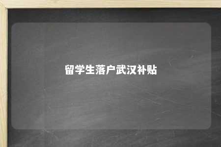 留学生落户武汉补贴